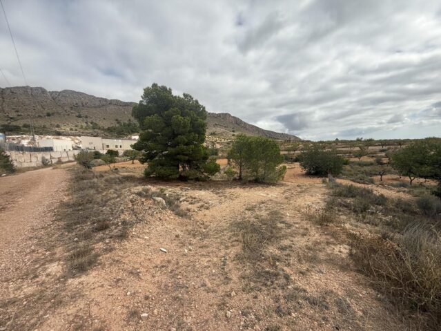 Image No.14-Land for sale