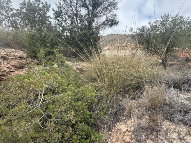 Image No.17-Land for sale