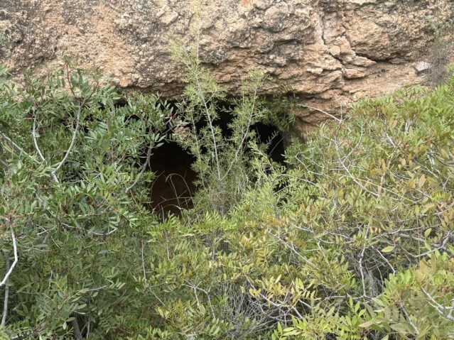 Image No.2-Land for sale