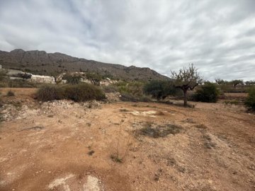 img5259-639x479