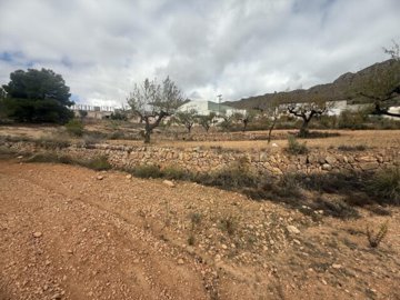 img5260-639x479