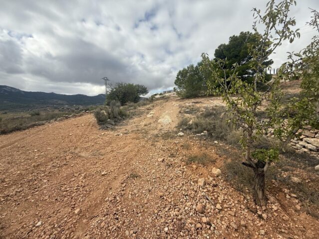 Image No.8-Land for sale