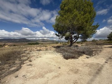 img5276-639x479