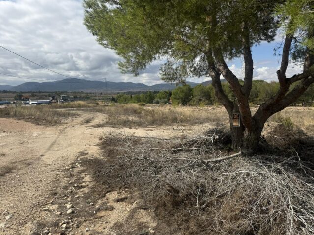 Image No.3-Land for sale