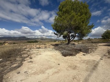 img5275-639x479