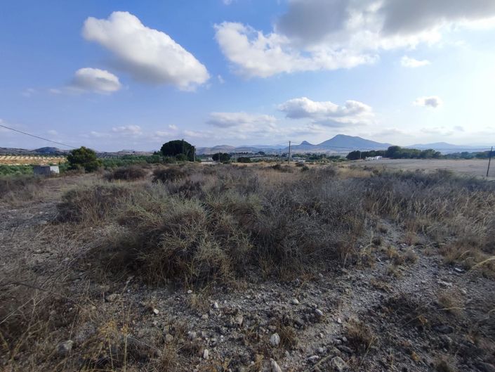 Image No.13-Land for sale