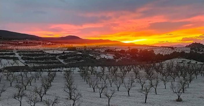 Image No.2-4 Bed Country House for sale