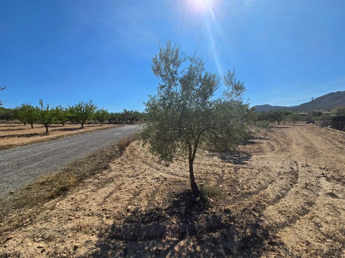 Image No.4-Land for sale