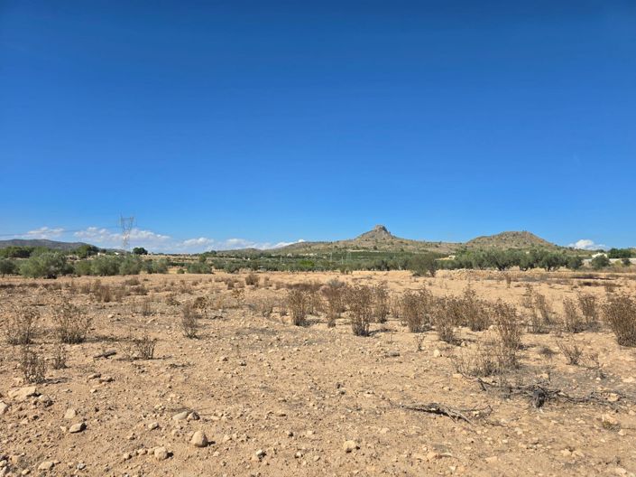 Image No.2-Land for sale