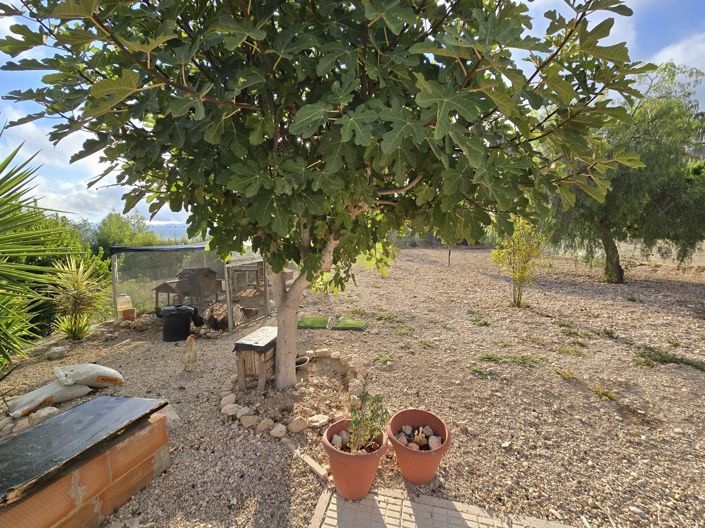 Image No.27-5 Bed Villa for sale