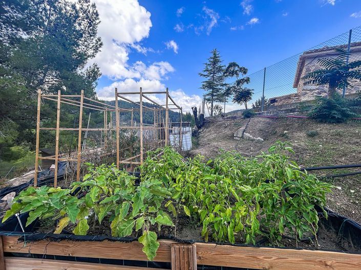 Image No.40-2 Bed Finca for sale