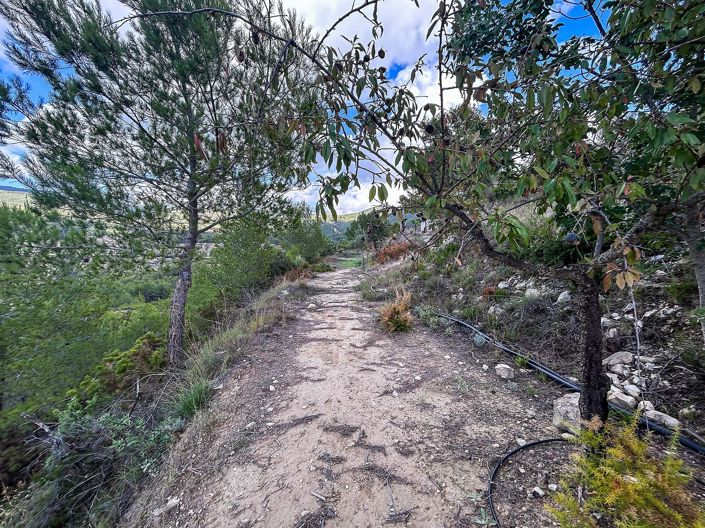 Image No.41-Finca de 2 chambres à vendre à Torremanzanas-La Torre de les Macanes
