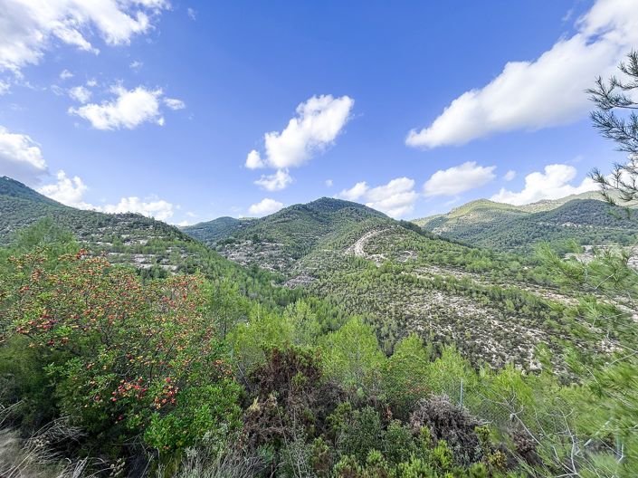 Image No.42-Finca de 2 chambres à vendre à Torremanzanas-La Torre de les Macanes