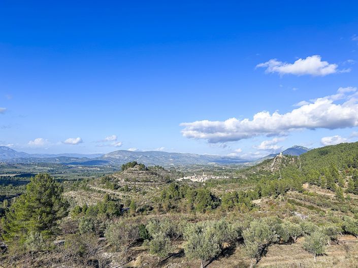 Image No.44-Finca de 2 chambres à vendre à Torremanzanas-La Torre de les Macanes