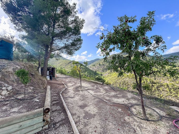 Image No.7-2 Bed Finca for sale