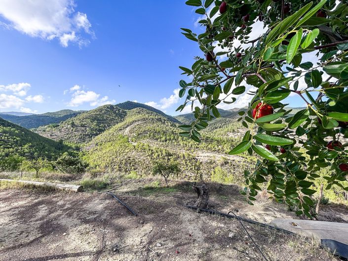 Image No.8-2 Bed Finca for sale