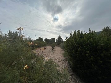 w8d25r2bdud0apzeqvuqz