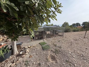 wnvcgykaiuq6zva38hqdq