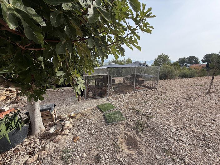 Image No.15-5 Bed Villa for sale