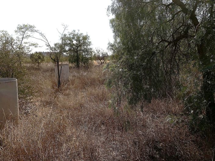 Image No.33-Maison de 2 chambres à vendre à Murcie