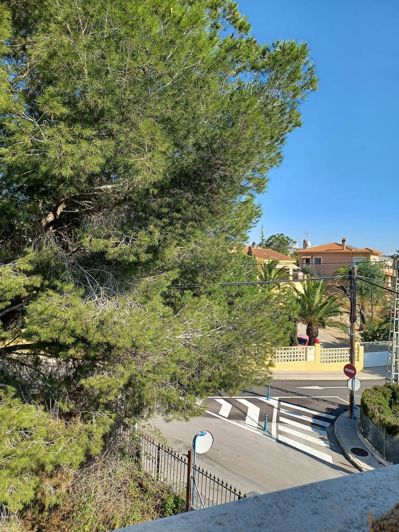 Image No.11-Appartement de 2 chambres à vendre à Algorfa