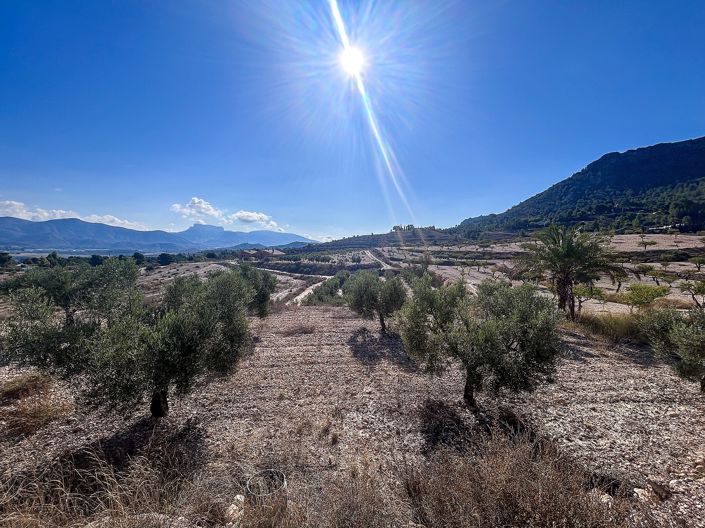 Image No.26-2 Bed Finca for sale