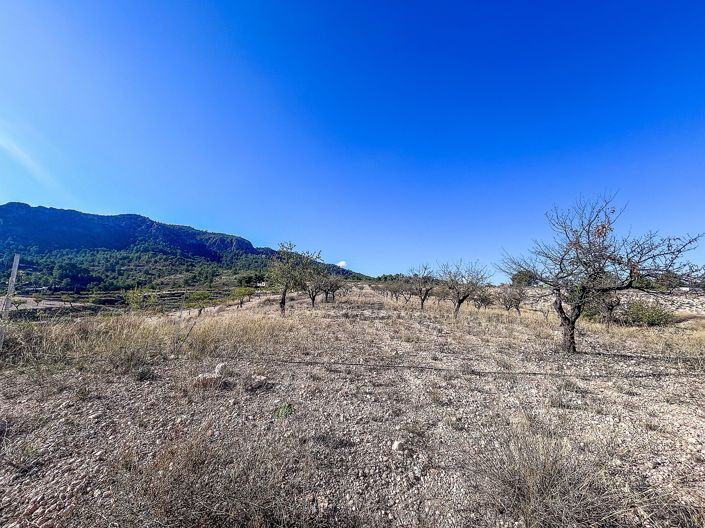 Image No.27-2 Bed Finca for sale