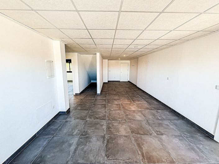 Image No.19-Villa de 5 chambres à vendre à Pinoso