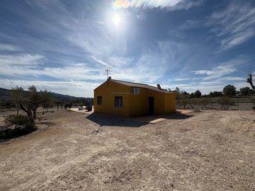 wwrfg4dyw4iatkkspe744