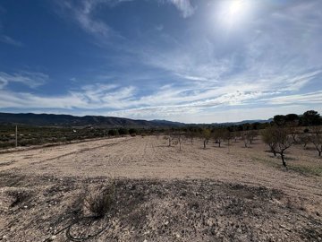 wf3owenjbgz5b4xh535f0