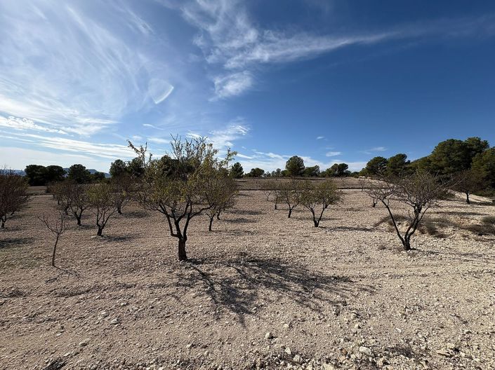 Image No.9-2 Bed Villa for sale