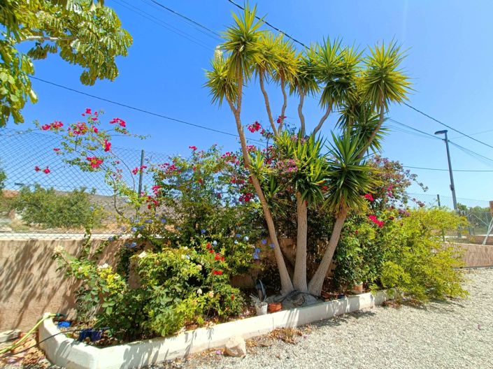 Image No.43-5 Bed Villa for sale