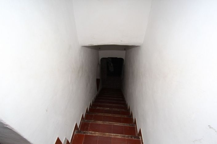 Image No.36-Maison de campagne de 7 chambres à vendre à Monóvar