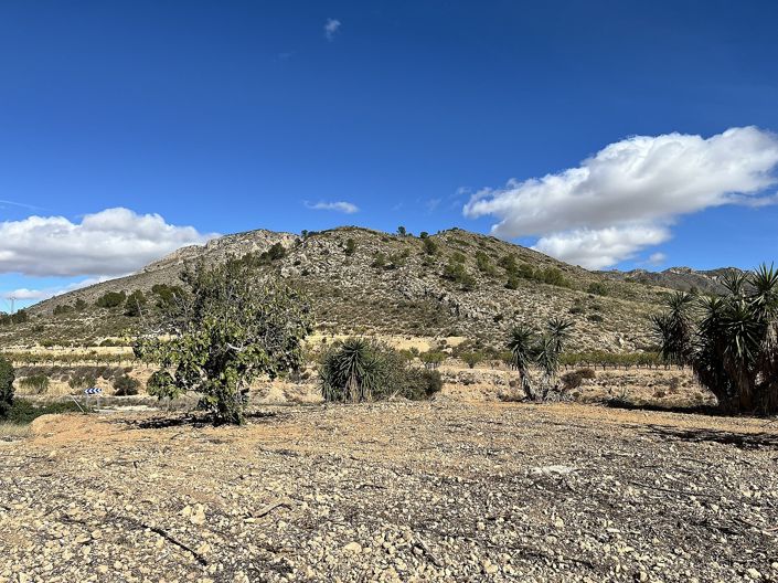 Image No.3-4 Bed Country House for sale