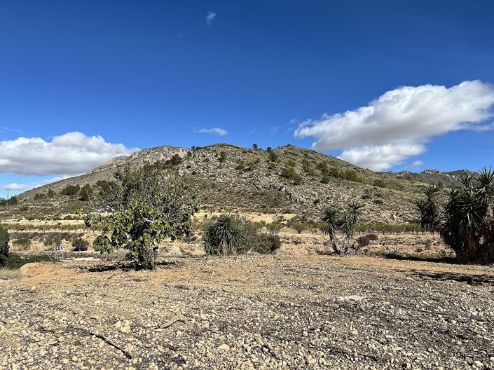 Image No.3-4 Bed Country House for sale