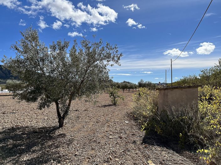 Image No.42-4 Bed Country House for sale