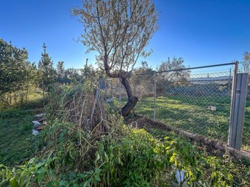 wffpupfjxq8uvu2cm36wr