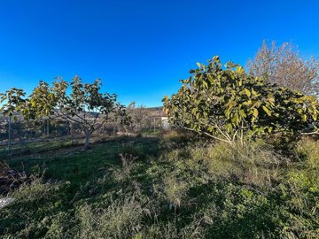 wnptpsth683o7cdu08xrr