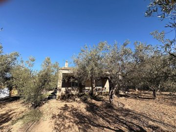 wp8cfaj7bgbni2gbqu5vs