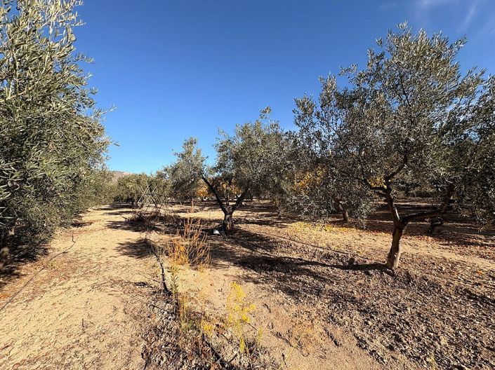 Image No.19-3 Bed Country House for sale