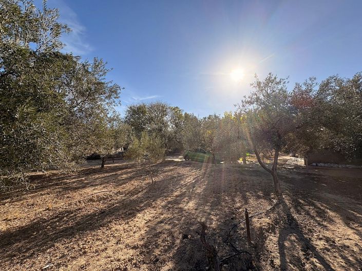 Image No.20-3 Bed Country House for sale