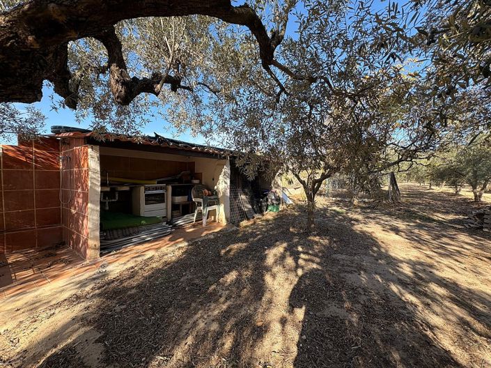 Image No.23-3 Bed Country House for sale