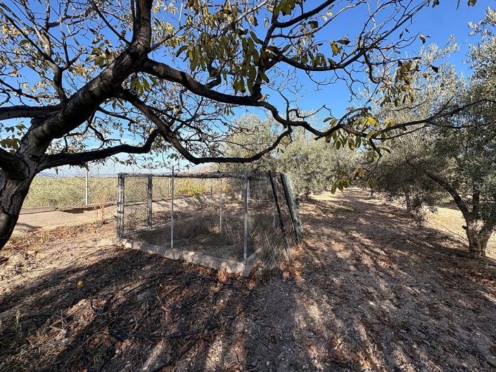 Image No.25-3 Bed Country House for sale