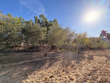 wa4tz3kodybsfym6evtpv