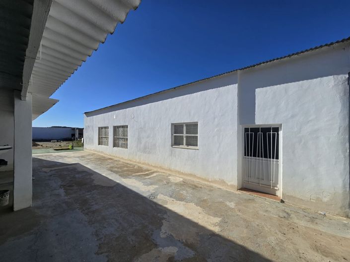 Image No.3-Commercial for sale