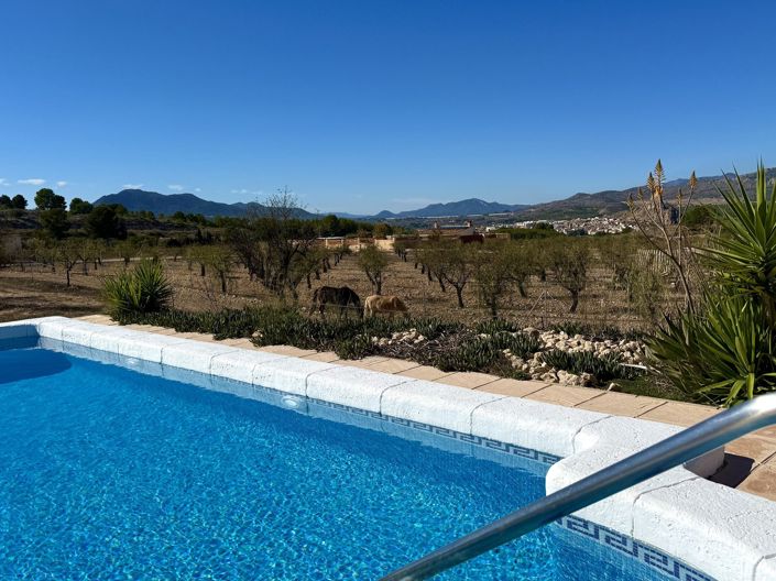 Image No.44-3 Bed Villa for sale