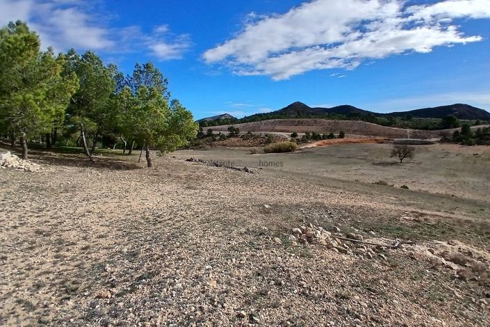 Image No.11-6 Bed Country House for sale