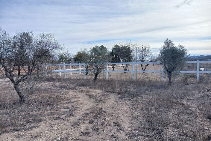 Image No.11-3 Bed Country House for sale