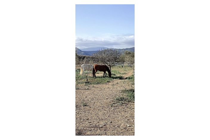Image No.13-Maison de campagne de 3 chambres à vendre à Monóvar