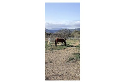 wnh0kpds0n5antajwj4m2